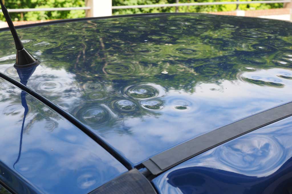 Carrozzeria Autonuova Srl Cavalese - Trento - Ponte nelle Alpi - Belluno